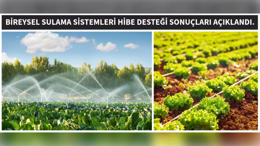 Eskişehir’de Bireysel Sulama Sistemlerine 3,9 Milyon Lira Hibe Desteği