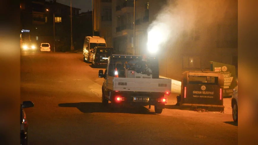 Giresun Belediyesi Yazlık İlaçlama Çalışmalarına Hız Verdi
