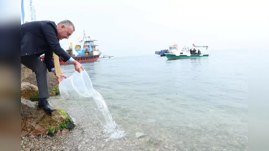 Kocaeli Büyükşehir Belediyesi’nden Çevre Zaferi: İzmit Körfezi Ölümden Dirilişe