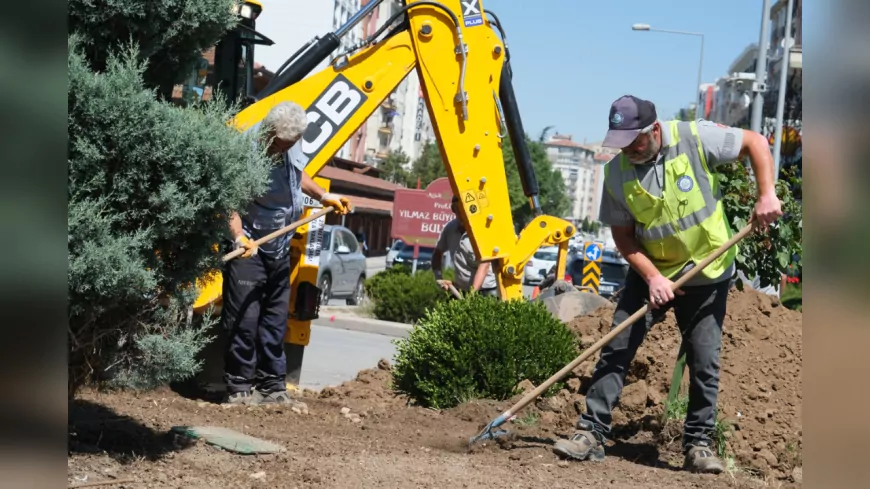 Eskişehir’de Kuru Peyzaj Uygulamalarıyla Su Tasarrufu ve Estetik Bir Arada