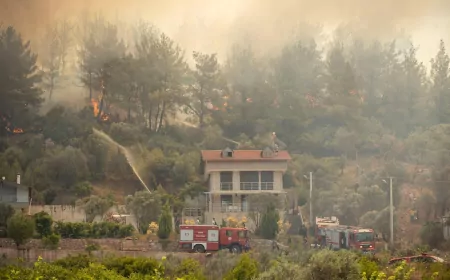 İzmir’de 300 Yangın, 10 Bin Hektar Alanı Küle Çevirdi