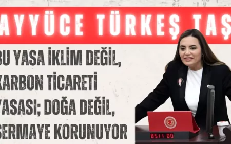 İYİ Parti’li Ayyüce Türkeş Taş: “Bu yasa iklim değil, karbon ticareti yasası; doğa değil, sermaye korunuyor”