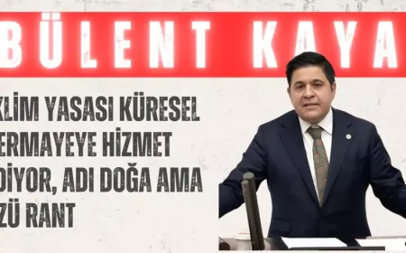 YENİ YOL’lu Bülent Kaya: “İklim Yasası küresel sermayeye hizmet ediyor, adı doğa ama özü rant”