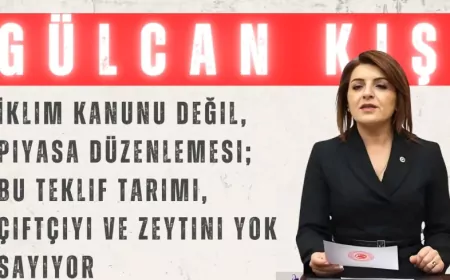 CHP’li Gülcan Kış: “İklim Kanunu değil, piyasa düzenlemesi; bu teklif tarımı, çiftçiyi ve zeytini yok sayıyor”
