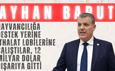 CHP’li Ayhan Barut: “Hayvancılığa destek yerine ithalat lobilerine çalıştılar, 12 milyar dolar dışarıya gitti”