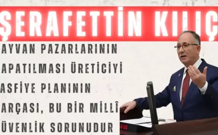 Saadet Partili Şerafettin Kılıç: “Hayvan pazarlarının kapatılması üreticiyi tasfiye planının parçası, bu bir millî güvenlik sorunudur”