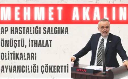 İYİ Parti’li Mehmet Akalın: “Şap hastalığı salgına dönüştü, ithalat politikaları hayvancılığı çökertti”