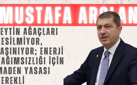 AK Parti’li Mustafa Arslan: “Zeytin ağaçları kesilmiyor, taşınıyor; enerji bağımsızlığı için Maden Yasası gerekli”