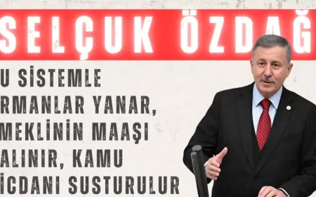 YENİ YOL Partili Selçuk Özdağ: “Bu sistemle ormanlar yanar, emeklinin maaşı çalınır, kamu vicdanı susturulur”