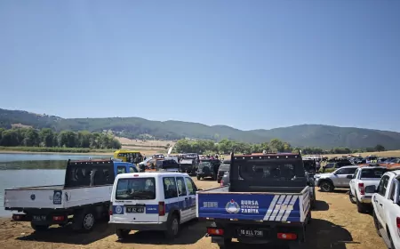 Bursa’da Orman Yangınlarına Karşı Temizlik Seferberliği Başlatıldı