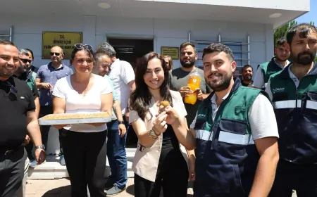 Beykoz’da Mahalle Bakım Timleri Sahada: Fatih Mahallesi'nde Yoğun Çalışma