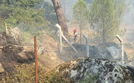 Bergama’da Orman Yangınına Havadan ve Karadan Müdahale