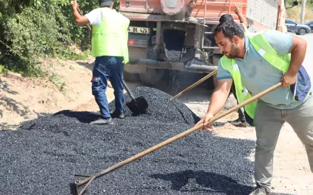 Yalova Şehir Merkezinde Yol ve Kaldırım Bakımları Sürüyor