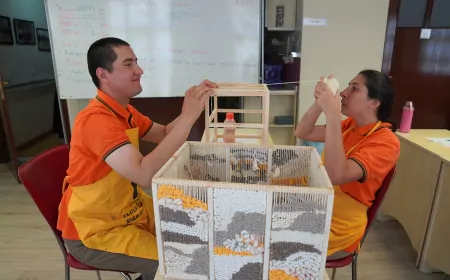 Tepebaşı Belediyesi’nden Özel Bireyler İçin Örnek Merkez: Engelliler Sosyal Yaşam Merkezi