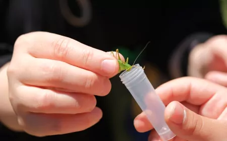 Kuzuyayla’da Biyoçeşitlilik Haritası Çıkarıldı