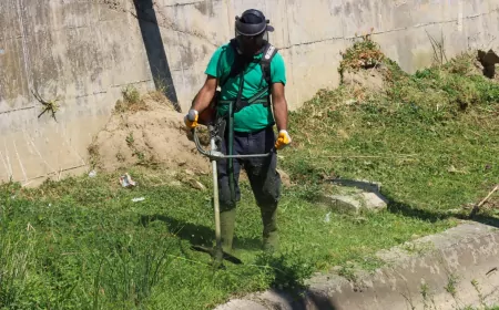 Balaban Deresi Çevresinde Yabani Ot Temizliği Devam Ediyor