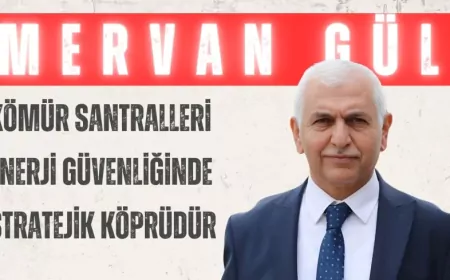 AK PARTİLİ MERVAN GÜL: “KÖMÜR SANTRALLERİ ENERJİ GÜVENLİĞİNDE STRATEJİK KÖPRÜDÜR”