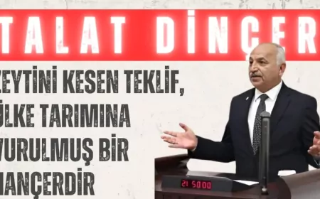 CHP’Lİ TALAT DİNÇER: “ZEYTİNİ KESEN TEKLİF, ÜLKE TARIMINA VURULMUŞ BİR HANÇERDİR”