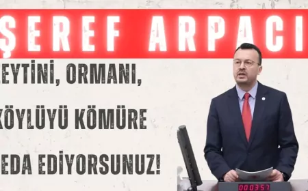 CHP'Lİ ARPACI: “ZEYTİNİ, ORMANI, KÖYLÜYÜ KÖMÜRE FEDA EDİYORSUNUZ!”