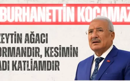 İYİ PARTİLİ KOCAMAZ: “ZEYTİN AĞACI ORMANDIR, KESİMİN ADI KATLİAMDIR”
