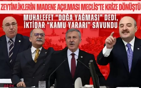 Zeytinliklerin madene açılması Meclis’te krize dönüştü: Muhalefet “doğa yağması” dedi, iktidar “kamu yararı” savundu