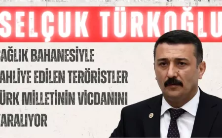 İYİ Parti’li Türkoğlu: “Sağlık bahanesiyle tahliye edilen teröristler Türk milletinin vicdanını yaralıyor”