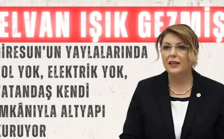 CHP’li Elvan Işık Gezmiş: “Giresun’un yaylalarında yol yok, elektrik yok, vatandaş kendi imkânıyla altyapı kuruyor”