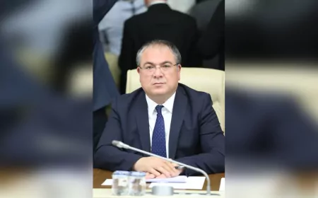 CHP’li Karakoz’dan Zeytinlik Uyarısı: “Rant Uğruna Ağaç Kestirmek Memlekete İhanettir”