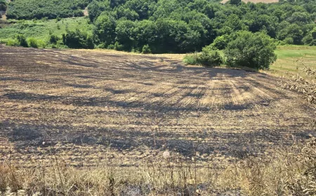 Kocaeli Büyükşehir’den Yangında Zarar Gören Çiftçiye Gübre ve Tohum Desteği