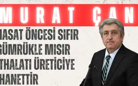 CHP Samsun Milletvekili Murat Çan: "Hasat öncesi sıfır gümrükle mısır ithalatı üreticiye ihanettir"