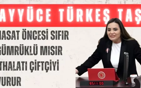 İYİ Partili Ayyüce Türkeş Taş: “Hasat öncesi sıfır gümrüklü mısır ithalatı çiftçiyi vurur”