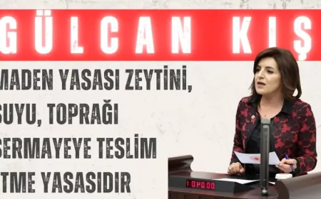 CHP’li Gülcan Kış: “Maden yasası zeytini, suyu, toprağı sermayeye teslim etme yasasıdır”