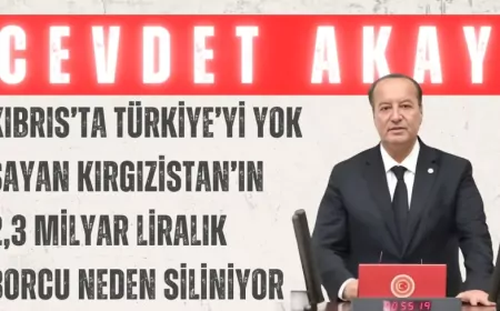 CHP’li Cevdet Akay: “Kıbrıs’ta Türkiye’yi yok sayan Kırgızistan’ın 2,3 milyar liralık borcu neden siliniyor”