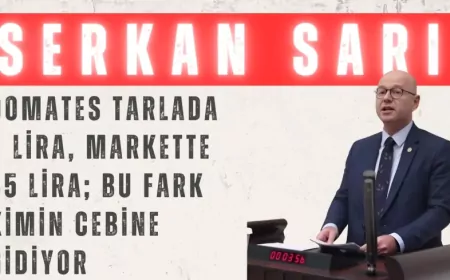 CHP Balıkesir Milletvekili Serkan Sarı: "Domates tarlada 3 lira, markette 45 lira; bu fark kimin cebine gidiyor"