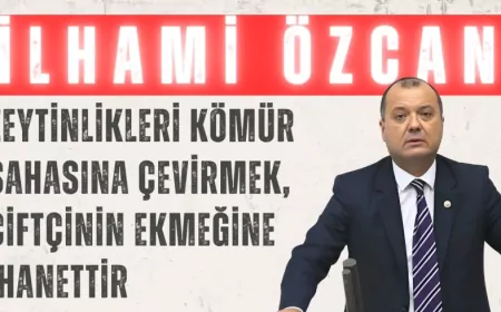 CHP’li İlhami Özcan Aygun: “Zeytinlikleri kömür sahasına çevirmek, çiftçinin ekmeğine ihanettir”