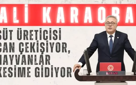 CHP’li Ali Karaoba: "Süt üreticisi can çekişiyor, hayvanlar kesime gidiyor"