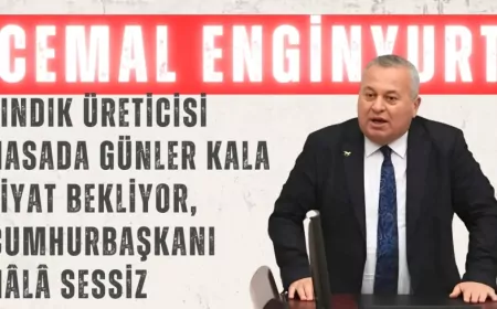 CHP’li Enginyurt: “Fındık üreticisi hasada günler kala fiyat bekliyor, Cumhurbaşkanı hâlâ sessiz”