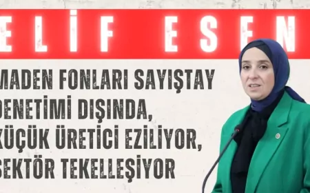 DEVA Partili Elif Esen: “Maden fonları Sayıştay denetimi dışında, küçük üretici eziliyor, sektör tekelleşiyor”