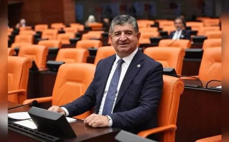 CHP Milletvekili Cavit Arı: "Nar bahçeleri GES projelerine feda edilemez"