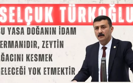 İYİ Partili Selçuk Türkoğlu: “Bu yasa doğanın idam fermanıdır, zeytin ağacını kesmek geleceği yok etmektir”