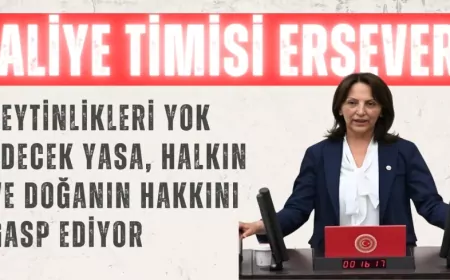 CHP’li Aliye Timisi Ersever: "Zeytinlikleri yok edecek yasa, halkın ve doğanın hakkını gasp ediyor"