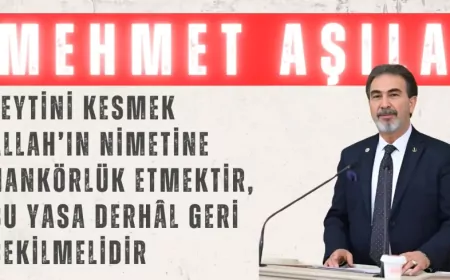 Yeniden Refah Partili Mehmet Aşıla: “Zeytini kesmek Allah’ın nimetine nankörlük etmektir, bu yasa derhâl geri çekilmelidir”