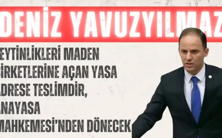 CHP’li Deniz YavuzYılmaz: “Zeytinlikleri maden şirketlerine açan yasa adrese teslimdir, Anayasa Mahkemesi’nden dönecek”