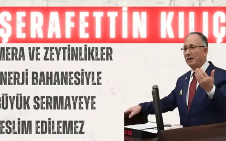 Saadet Partili Şerafettin Kılıç: “Mera ve zeytinlikler enerji bahanesiyle büyük sermayeye teslim edilemez”