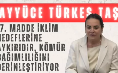 Ayyüce Türkeş Taş: “17. madde iklim hedeflerine aykırıdır, kömür bağımlılığını derinleştiriyor”
