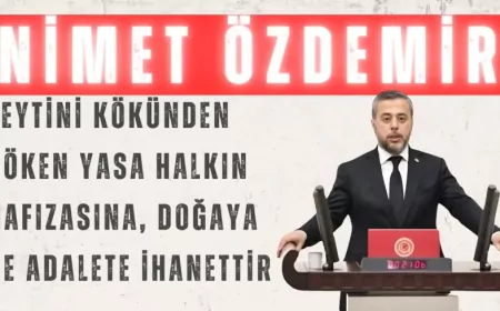 CHP’li Nimet Özdemir: “Zeytini kökünden söken yasa halkın hafızasına, doğaya ve adalete ihanettir”