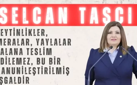 İYİ Partili Selcan Taşcı: “Zeytinlikler, meralar, yaylalar talana teslim edilemez, bu bir kanunileştirilmiş işgaldir”