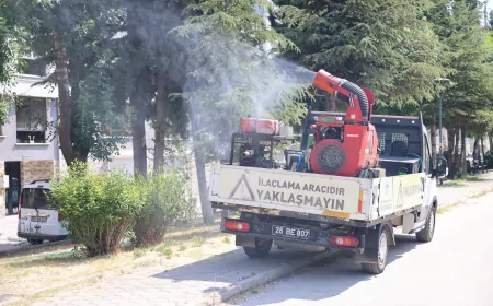 Odunpazarı Belediyesi’nden Yaz Boyunca Etkili Kene ve Haşere Mücadelesi