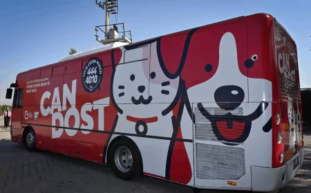 Sokaktaki Canlara Şefkat Eli: Can Dost’un Yaz Yolculuğu Başladı