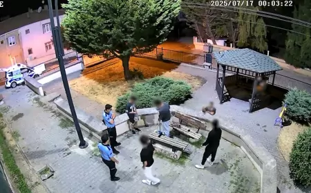 Yalova’da Gençler Parkı Kirletti, Zabıta Temizletip Uyardı